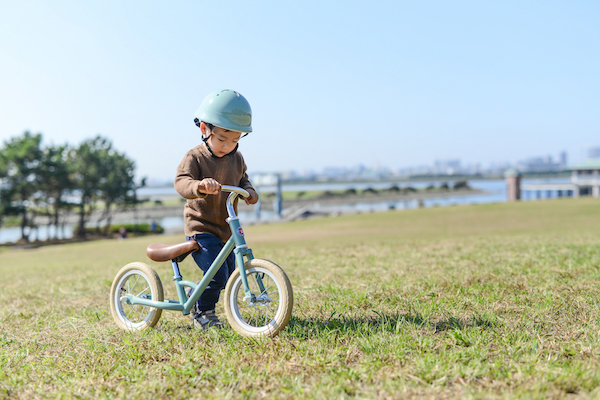 tokyobike paddle