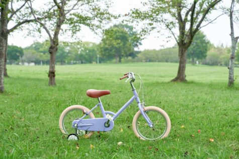 little tokyobike 16 ライラック